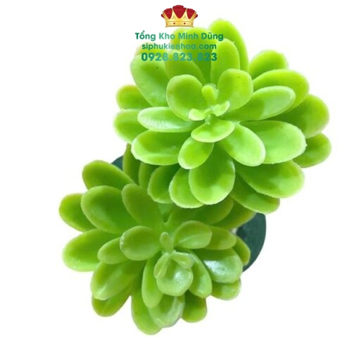 Bịch 10C Sen Đá Nhựa Trang Trí Cao Cấp
