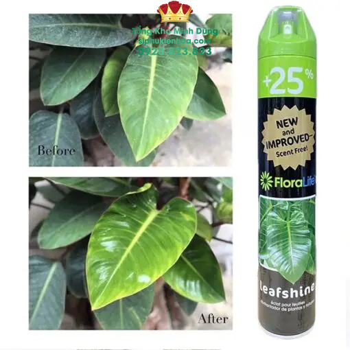 Xịt Bóng Lá Cao Cấp - Sỉ Phụ Kiện Hoa Xịt Bóng Lá Cao Cấp - Ảnh 2