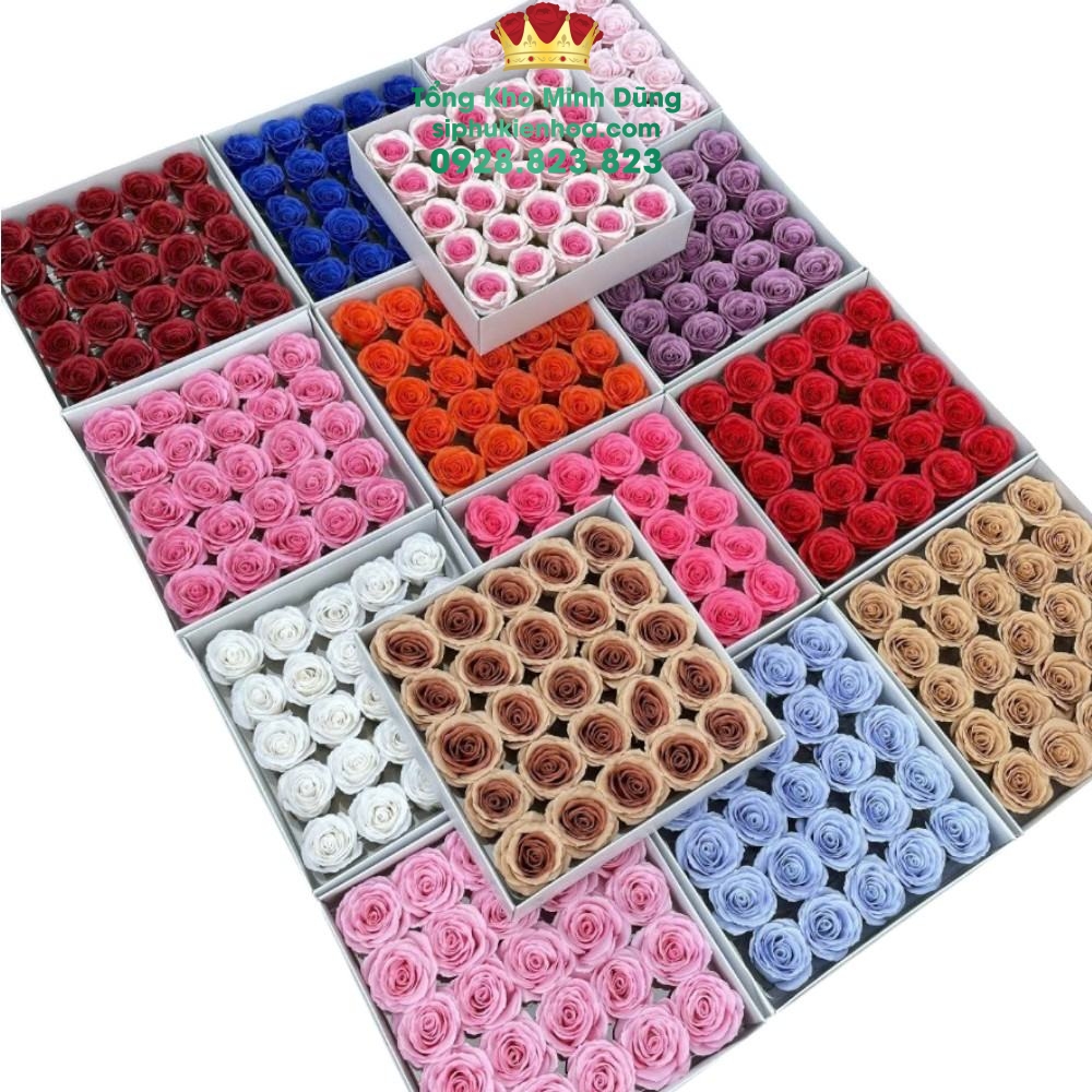 Đầu Bông Hoa Hồng Ecuador Cao Cấp - Sỉ Phụ Kiện Hoa Đầu Bông Hoa Hồng Ecuador Cao Cấp