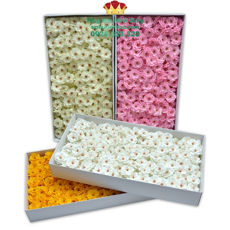 Hoa Mai Anh Đào Cao Cấp (Hộp 50B) - Sỉ Phụ Kiện Hoa Hoa Mai Anh Đào Cao Cấp (Hộp 50B)