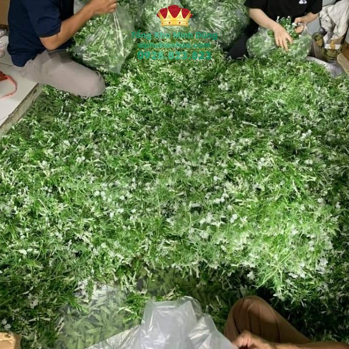 Cỏ Lá Điểm Cắm Hoa Cao Cấp (Nửa Kg) - Sỉ Phụ Kiện Hoa Cỏ Lá Điểm Cắm Hoa Cao Cấp (Nửa Kg) - Ảnh 3