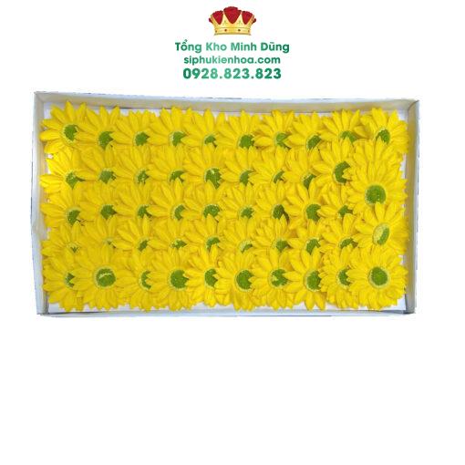 Đầu Bông Hướng Dương Nhụy Xanh Cao Cấp