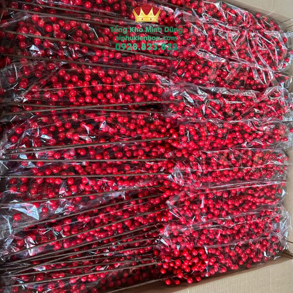 Cành Đông Đào 12 Nhánh - Ảnh 3