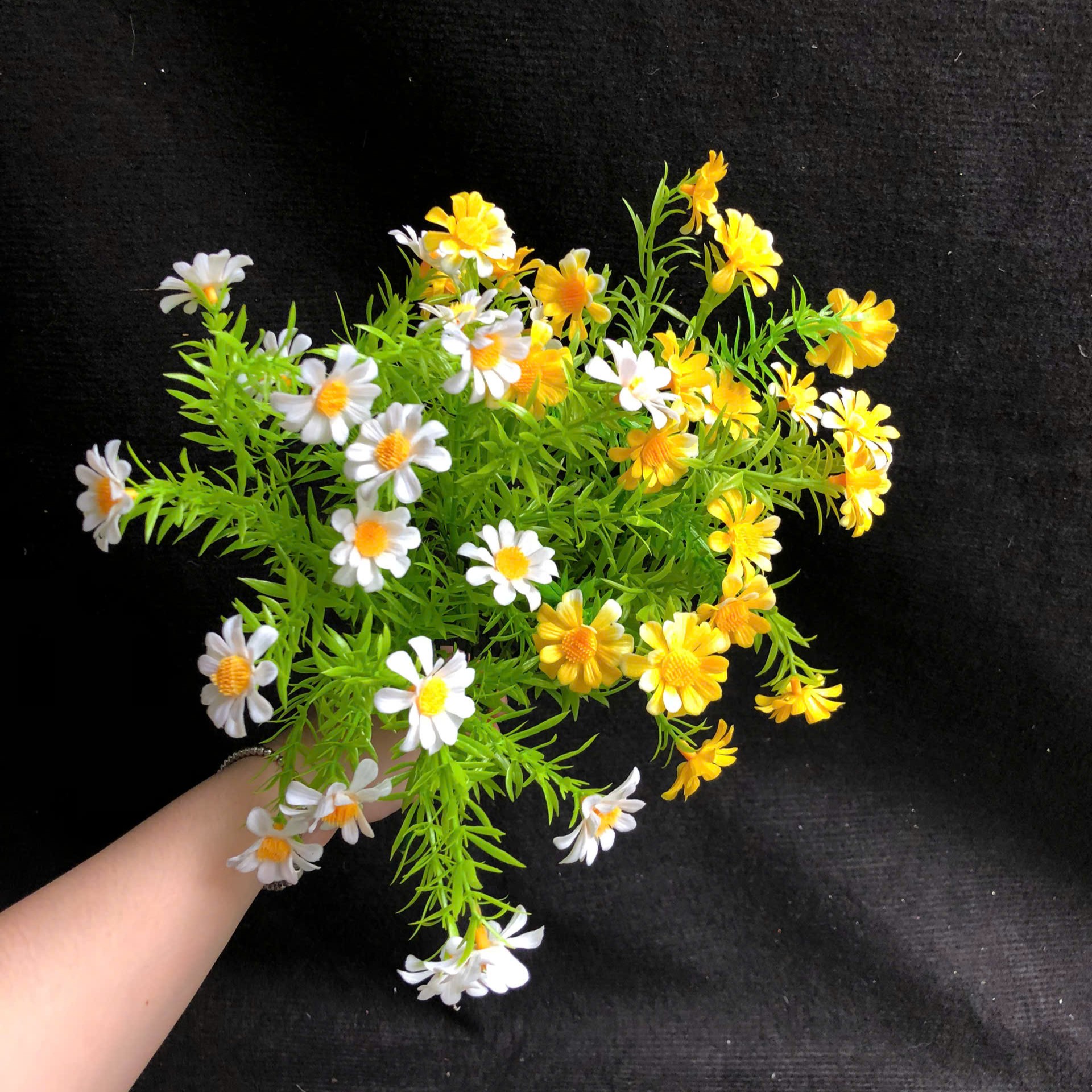 Cành Điểm Cúc Tana Cao Cấp - Sỉ Phụ Kiện Hoa Cành Điểm Cúc Tana Cao Cấp