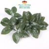 Lá Hồng Giả Cắm Hoa Cao Cấp 1 (Nửa Kg) - Sỉ Phụ Kiện Hoa Lá Hồng Giả Cắm Hoa Cao Cấp 1 (Nửa Kg) - Sỉ Phụ Kiện Hoa
