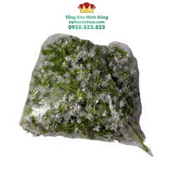 Cành Baby Nở Rời Cao Cấp (0.5kg)