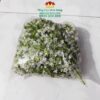 Cành Baby Nở Rời Cao Cấp (0.5kg) - Sỉ Phụ Kiện Hoa Cành Baby Nở Rời Cao Cấp (0.5kg) - Sỉ Phụ Kiện Hoa