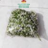 Cành Baby Nở Rời Cao Cấp (0.5kg) - Sỉ Phụ Kiện Hoa Cành Baby Nở Rời Cao Cấp (0.5kg) - Sỉ Phụ Kiện Hoa
