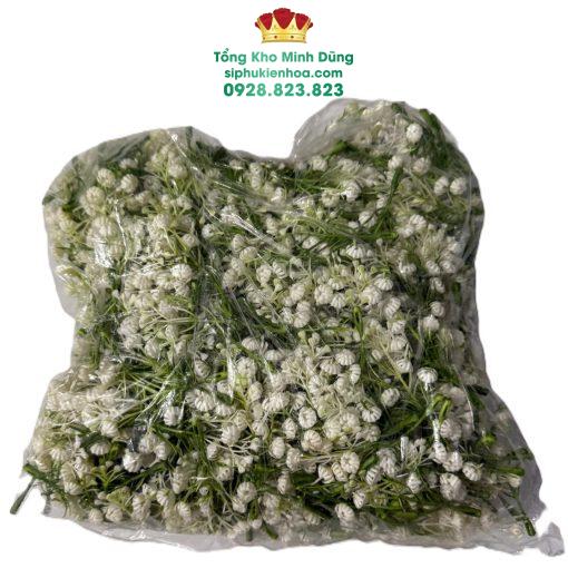 Cành Baby Nụ Rời Cao Cấp (0.5kg)