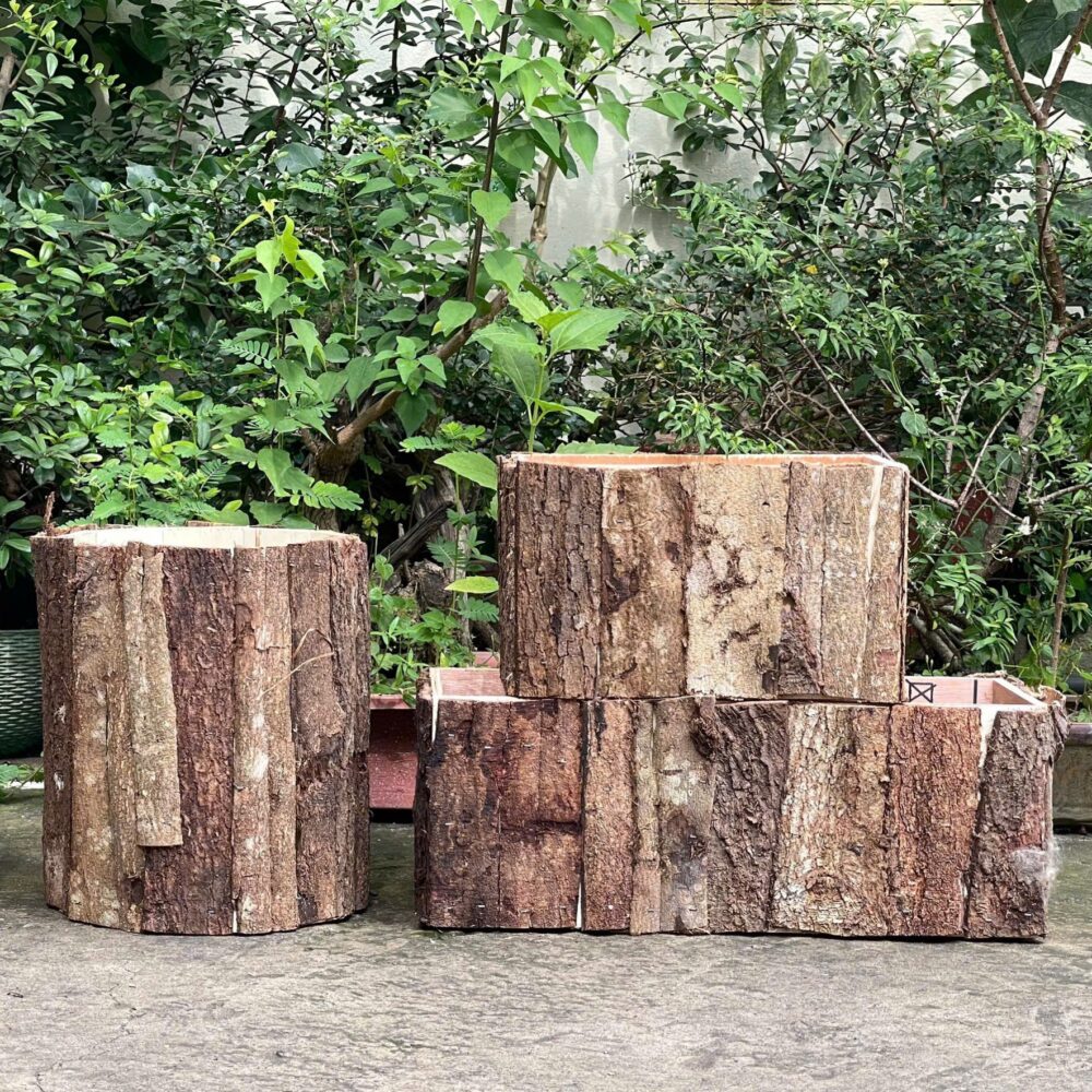 Chậu Gỗ Cắm Hoa Vỏ Cây Cao Cấp