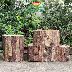 Chậu Gỗ Cắm Hoa Vỏ Cây Cao Cấp