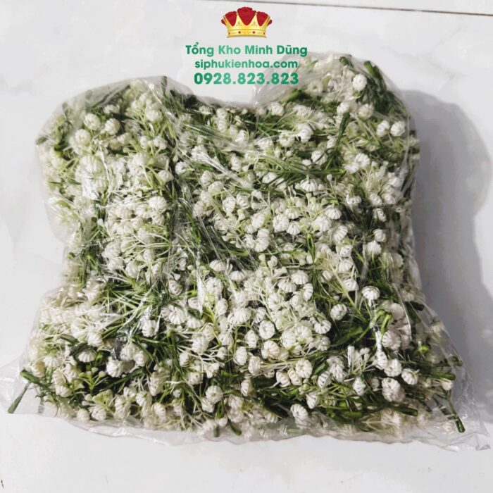 Cành Baby Nụ Rời Cao Cấp (0.5kg)