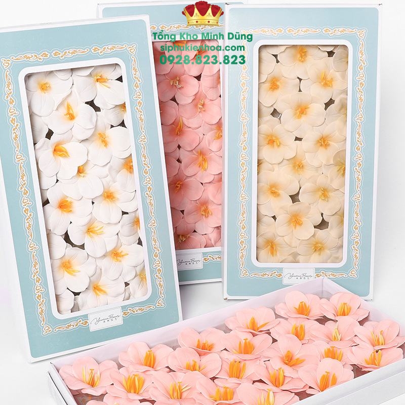 Hoa Sáp Tuylip Nở Cao Cấp (Hộp 25 Bông) - Sỉ Phụ Kiện Hoa Hoa Sáp Tuylip Nở Cao Cấp (Hộp 25 Bông)