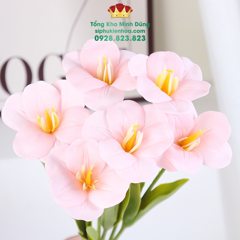 Hoa Sáp Tuylip Nở Cao Cấp (Hộp 25 Bông) - Sỉ Phụ Kiện Hoa Hoa Sáp Tuylip Nở Cao Cấp (Hộp 25 Bông) - Ảnh 2