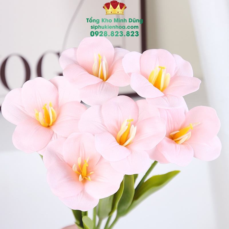 Hoa Sáp Tuylip Nở Cao Cấp (Hộp 25 Bông) - Sỉ Phụ Kiện Hoa Hoa Sáp Tuylip Nở Cao Cấp (Hộp 25 Bông) - Ảnh 2