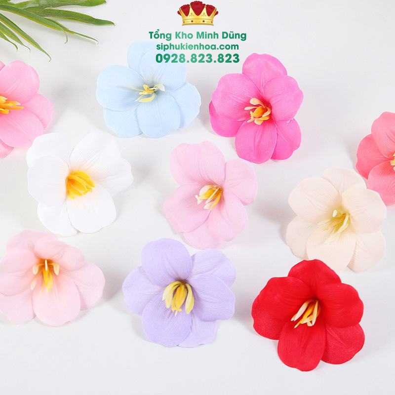 Hoa Sáp Tuylip Nở Cao Cấp (Hộp 25 Bông) - Sỉ Phụ Kiện Hoa Hoa Sáp Tuylip Nở Cao Cấp (Hộp 25 Bông) - Ảnh 3