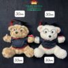 Gấu Bông Tốt Nghiệp Lông Xù size 30cm