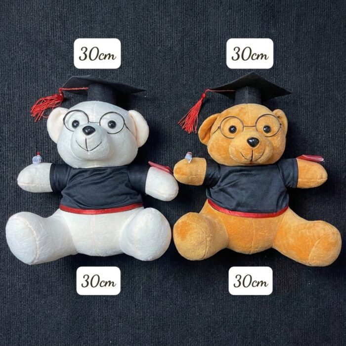 Gấu Bông Tốt Nghiệp Lông Mịn size 30cm