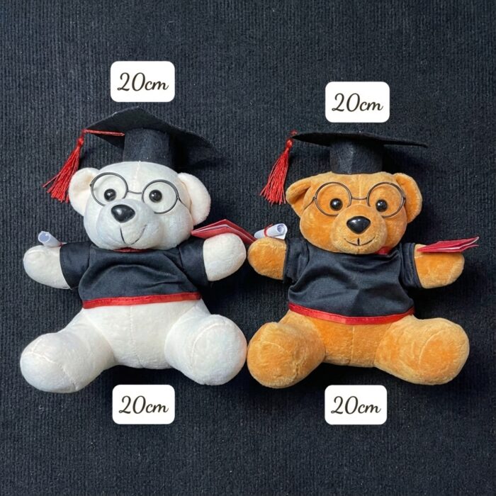 Gấu Bông Tốt Nghiệp Lông Mịn size 20cm