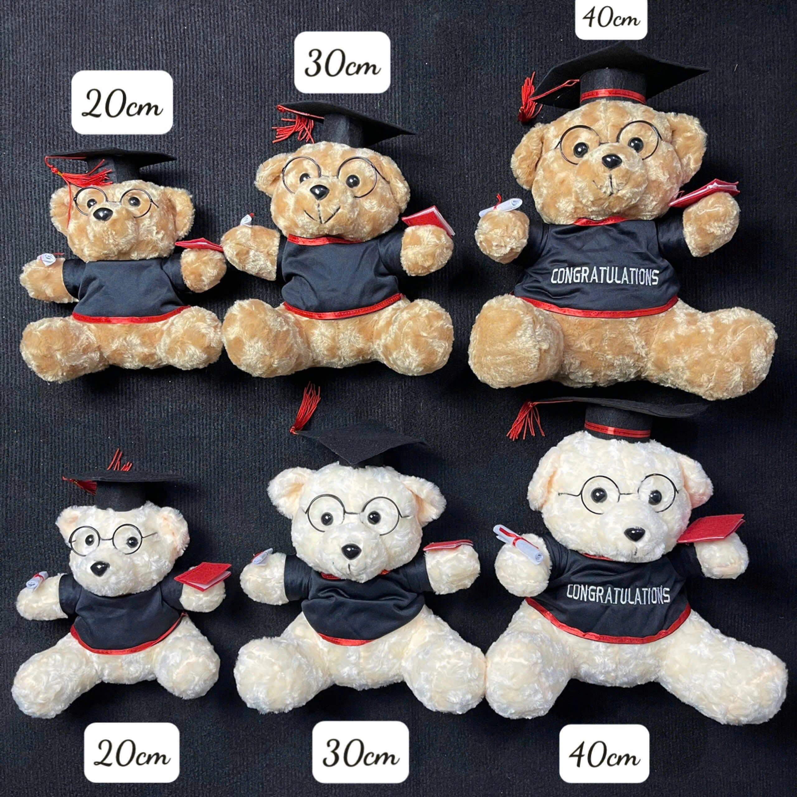 Gấu Bông Tốt Nghiệp Lông Xù size 20cm - Sỉ Phụ Kiện Hoa Gấu Bông Tốt Nghiệp Lông Xù size 20cm - Ảnh 2