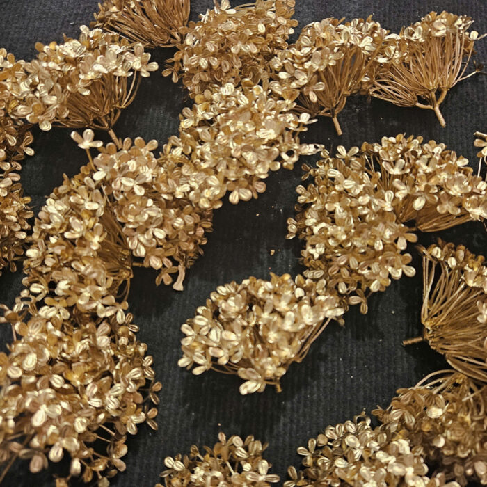 Chùm Cẩm Tú Cầu Nhũ Vàng (Set 10 Bịch)