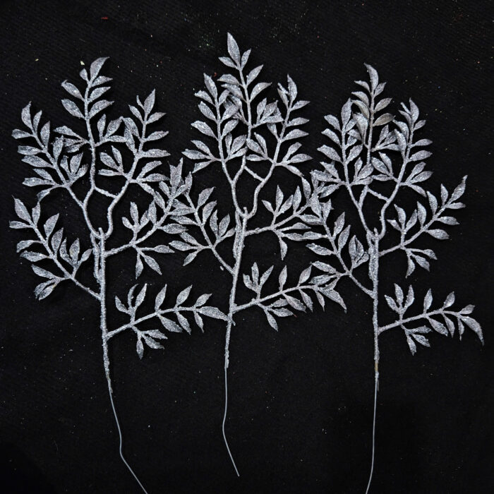 Cành Đinh Lăng (Set 10 cành)