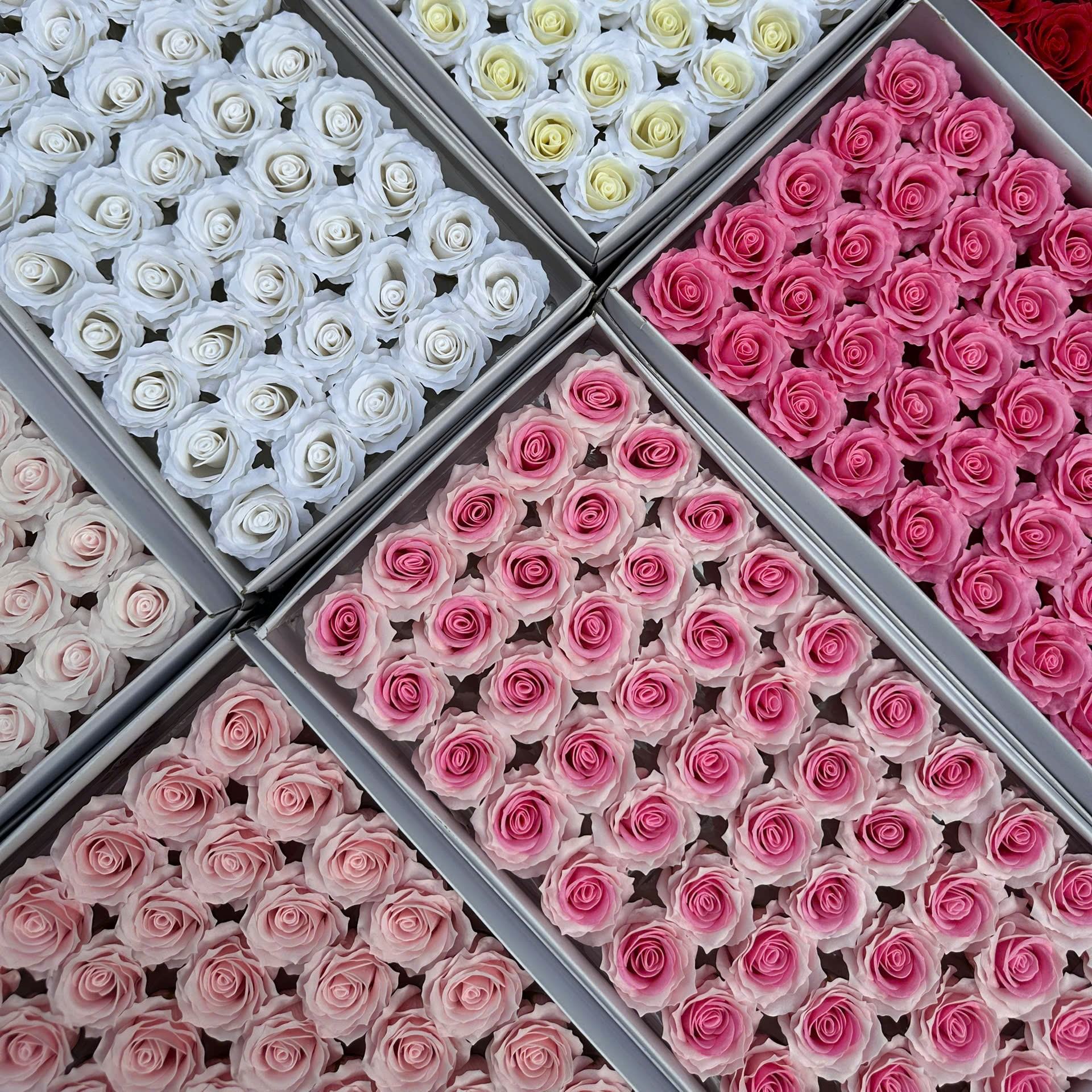 Đầu Bông Hoa Sáp 5L Canh Nhọn VIP - Sỉ Phụ Kiện Hoa Đầu Bông Hoa Sáp 5L Canh Nhọn VIP - Ảnh 4