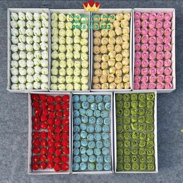 Đầu Bông Hoa sáp Nụ Hồng