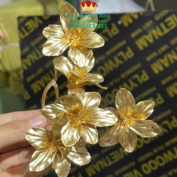 Hoa Mai Nhũ Đồng (Túi 0.5kg)