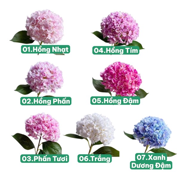 Đầu Bông Cẩm Tú Cầu in 3D nhập Trung VIP