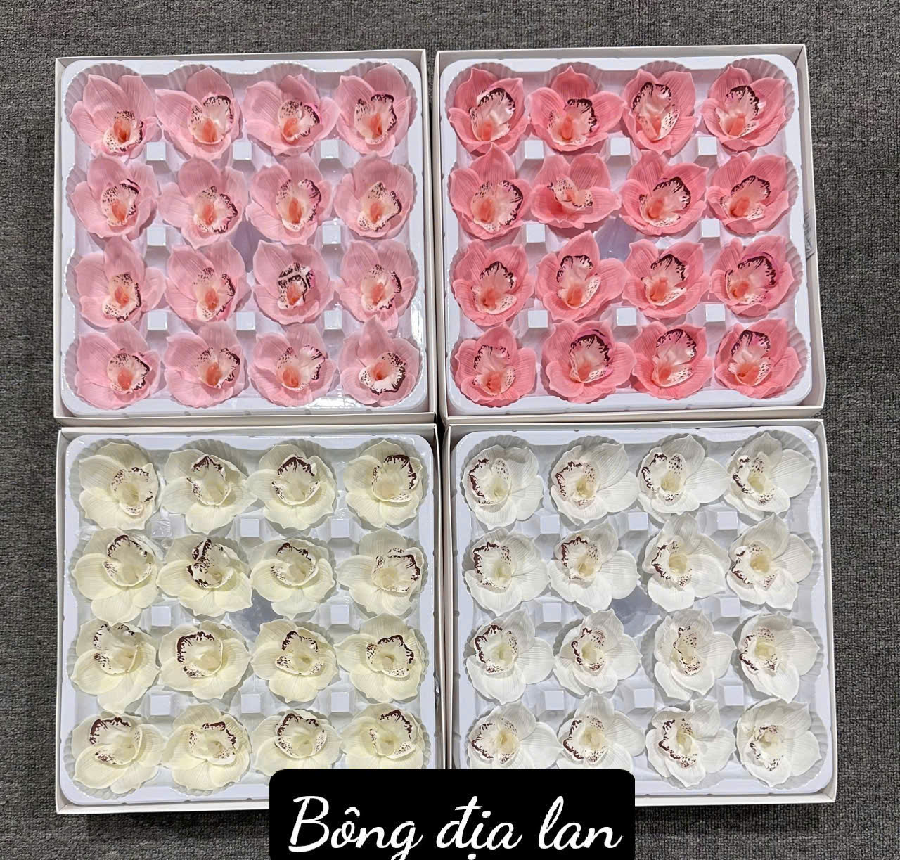 Hoa Sáp Địa Lan VIP (Hộp 16b) - Sỉ Phụ Kiện Hoa Hoa Sáp Địa Lan VIP (Hộp 16b)