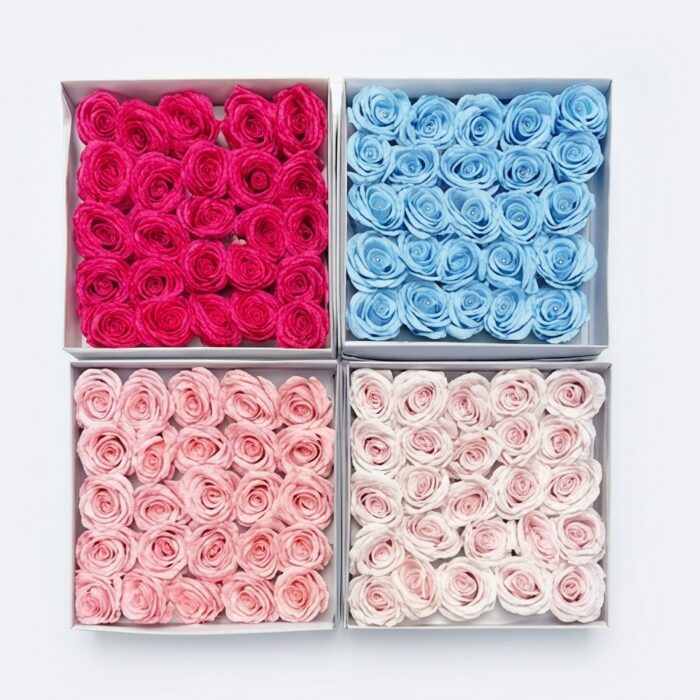 Hoa sáp Ecuador to cánh gân (hộp 25 bông)