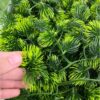 Cỏ Tùng Trang Trí (1kg)