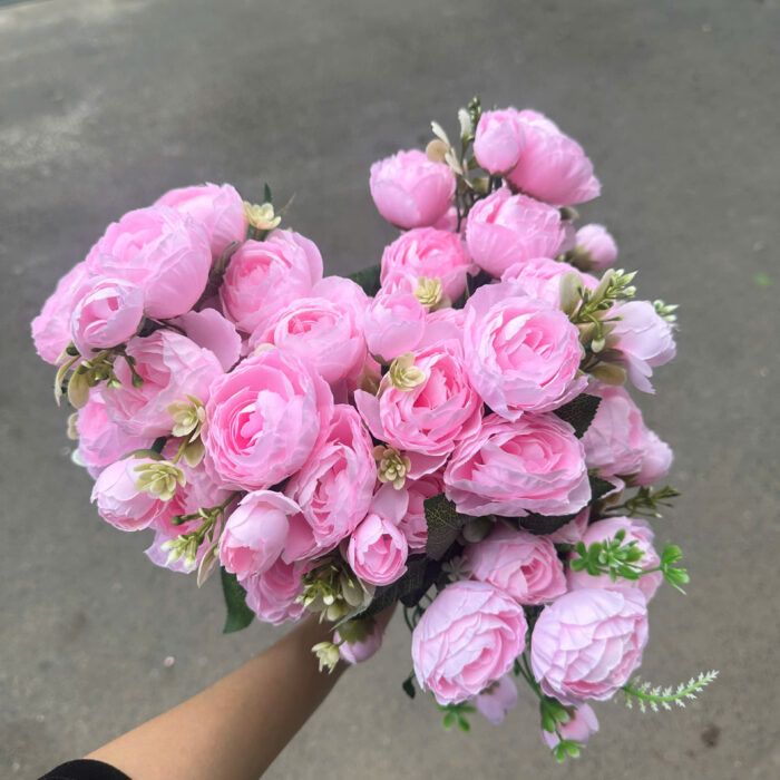 Hồng Mao Lương Hotrend Cụm 5nhánh